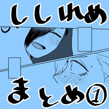 ししれめまとめ①