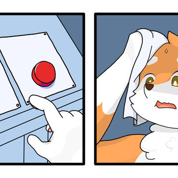 Daily Struggle