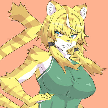 tora