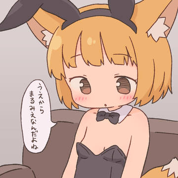 見えてもいいんだよ