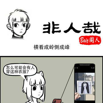 横看成岭侧成峰
