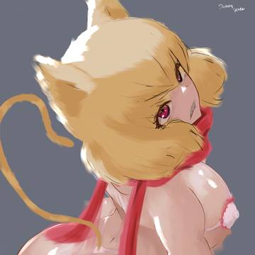 Wild cat appeared