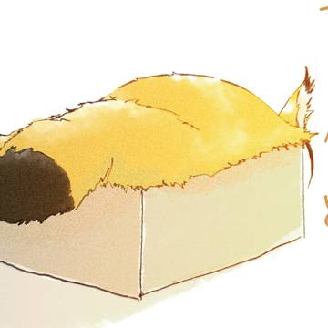 フォゼ尾まとめ2