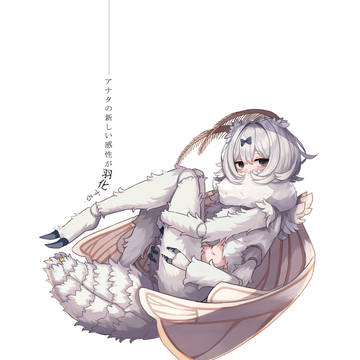 東京個展開催🦋熊野プラン個展 『 虫ノ少女ト 』