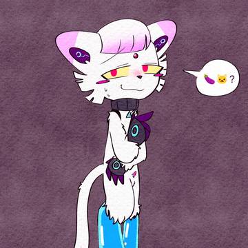 我喜欢小猫咪