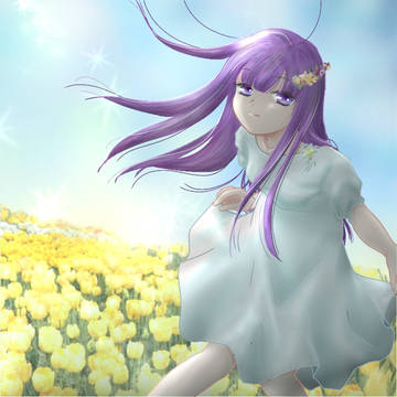 チューリップ畑