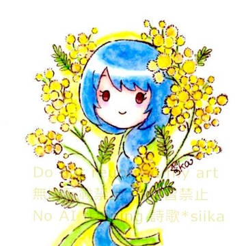 ミモザ