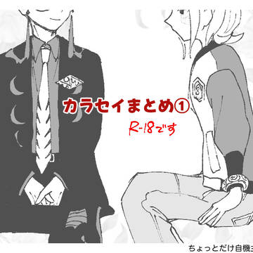 カラセイまとめ①