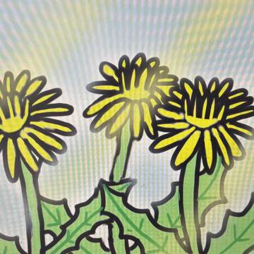 たんぽぽ🌼