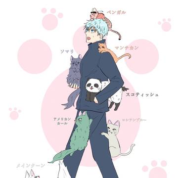 猫と悟 表紙