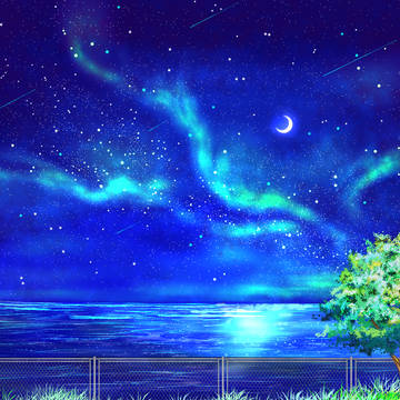 オーロラが照らす月夜