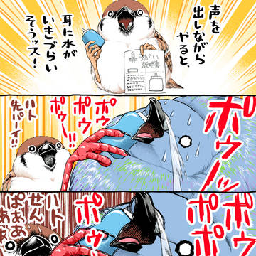 鼻うがいバード