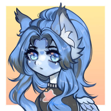 PONY CMM