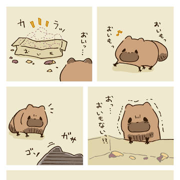 たぬ…き……？