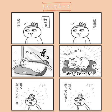 トリックネーコ