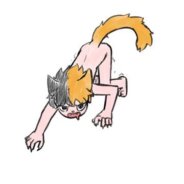 고양이 소년