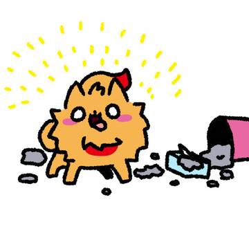 ポムケンげんきだワン