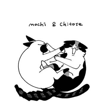 別名義のお知らせ