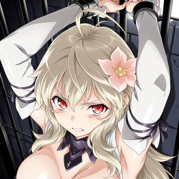 叛逆者散華 穢される誇りと尊厳