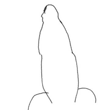 ちんこ