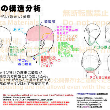 個人メモ:頭部の構造分析