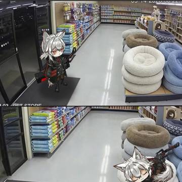 【突发!】一只沃芬找到了动物睡眠点!