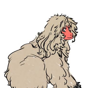おさるのお姉さん