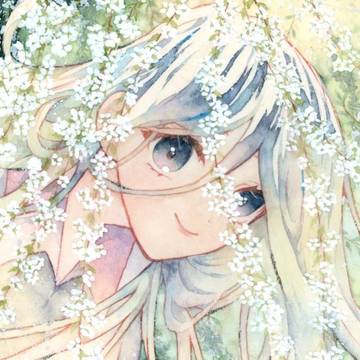 「雪柳のカーテン」