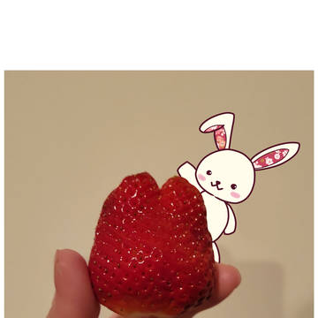 いちごとイチゴ