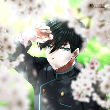 桜の便り
