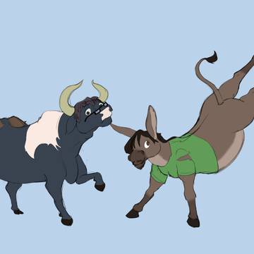 Bull an donkey