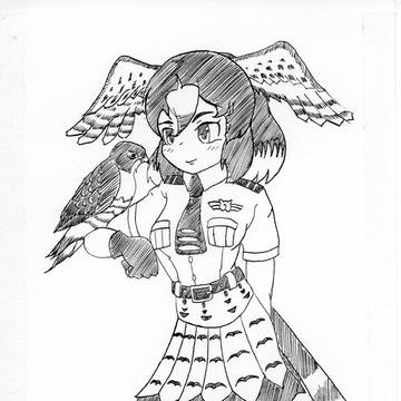 ハヤブサとハヤブサ(2)