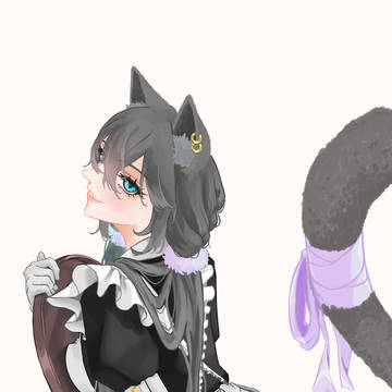 灰猫