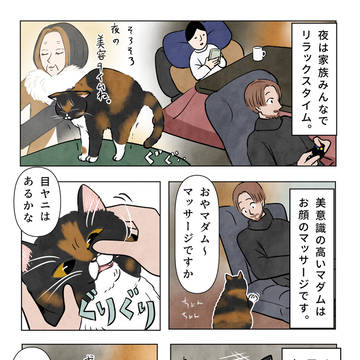 マダムの夜の美容タイム💆♀️