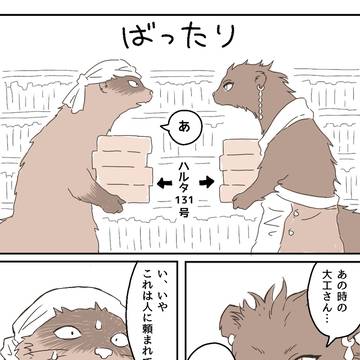 イワシとハルシナ