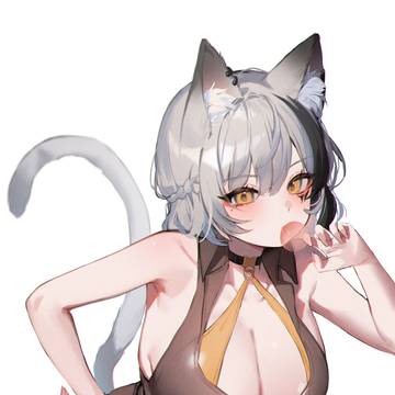 🐈‍⬛