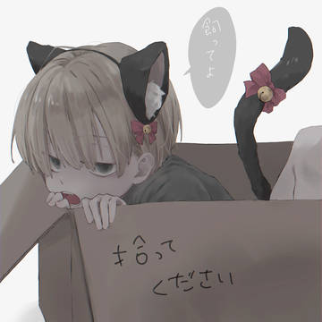 （自称）捨て猫