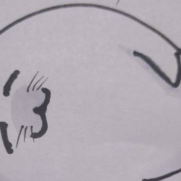 国際アザラシの日