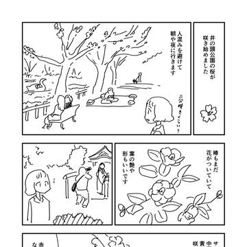 桜散歩