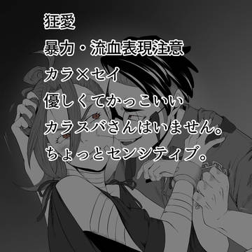 元プラズマ団のセイカの話⑥