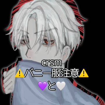 crsmバニー服