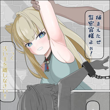 監察官