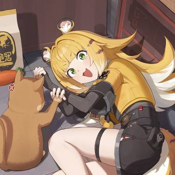 茶トラの寝床