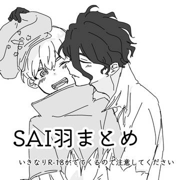 SAI羽まとめ