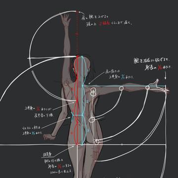 女性の全身比率の例