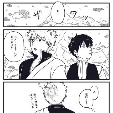 銀土(夢)