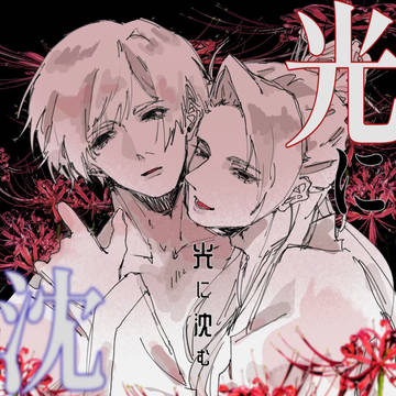 光に沈む【耀菊】