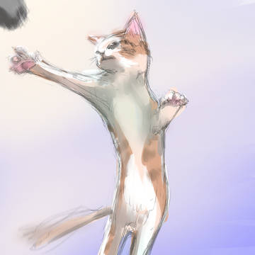 毎日暴れほうだい