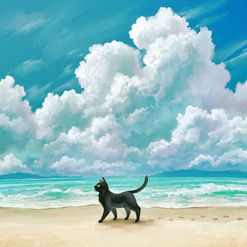 浜辺を歩く