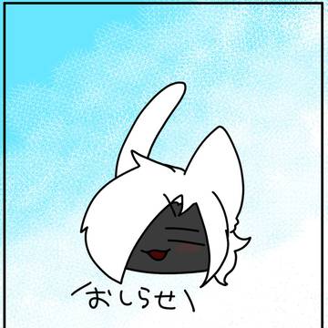 企画お知らせ